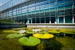 Puławski Park Naukowo-Technologiczny